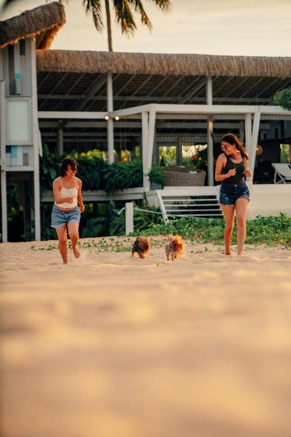 Beach Houses Moitas Amontada Luaran gambar